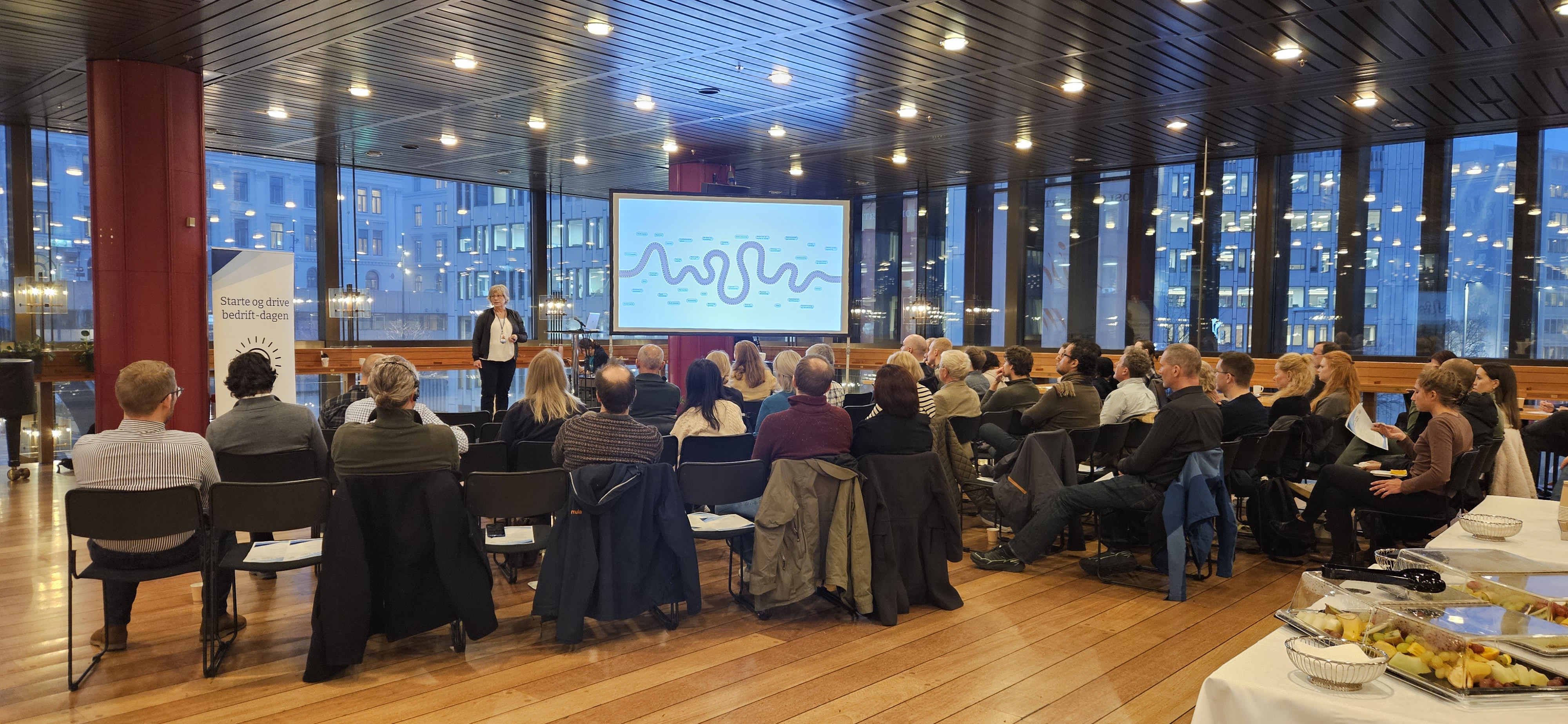 Bilde av en fullsatt seminar-sal, med foreleser foran publikum.