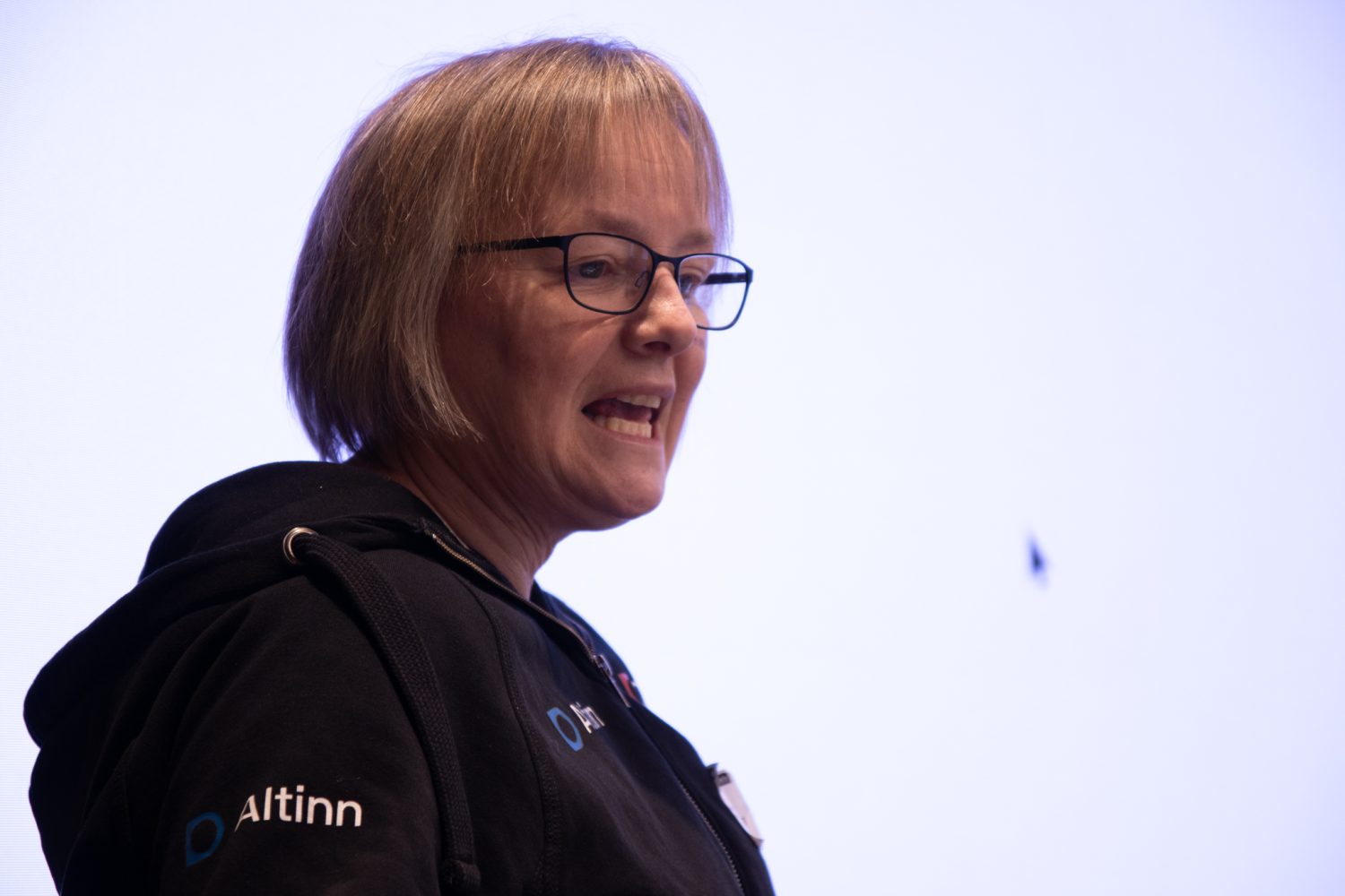 Elaine Svartis snakkes om Altinn